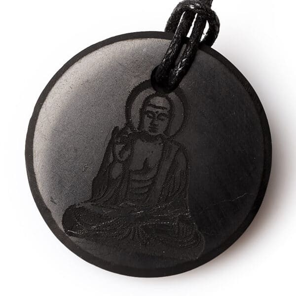 Shungite Pendants - Image 7