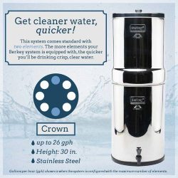 Crown-Berkey-Water-Purifier-system-pic.jpg
